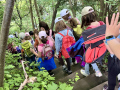 616ef4438d889dab-image-20240606-193512-476.jpeg