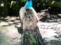IMG-20210629-WA0098.jpg